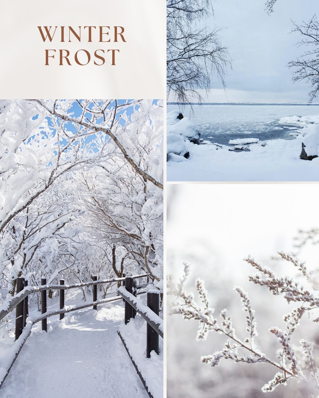 Winter Frost