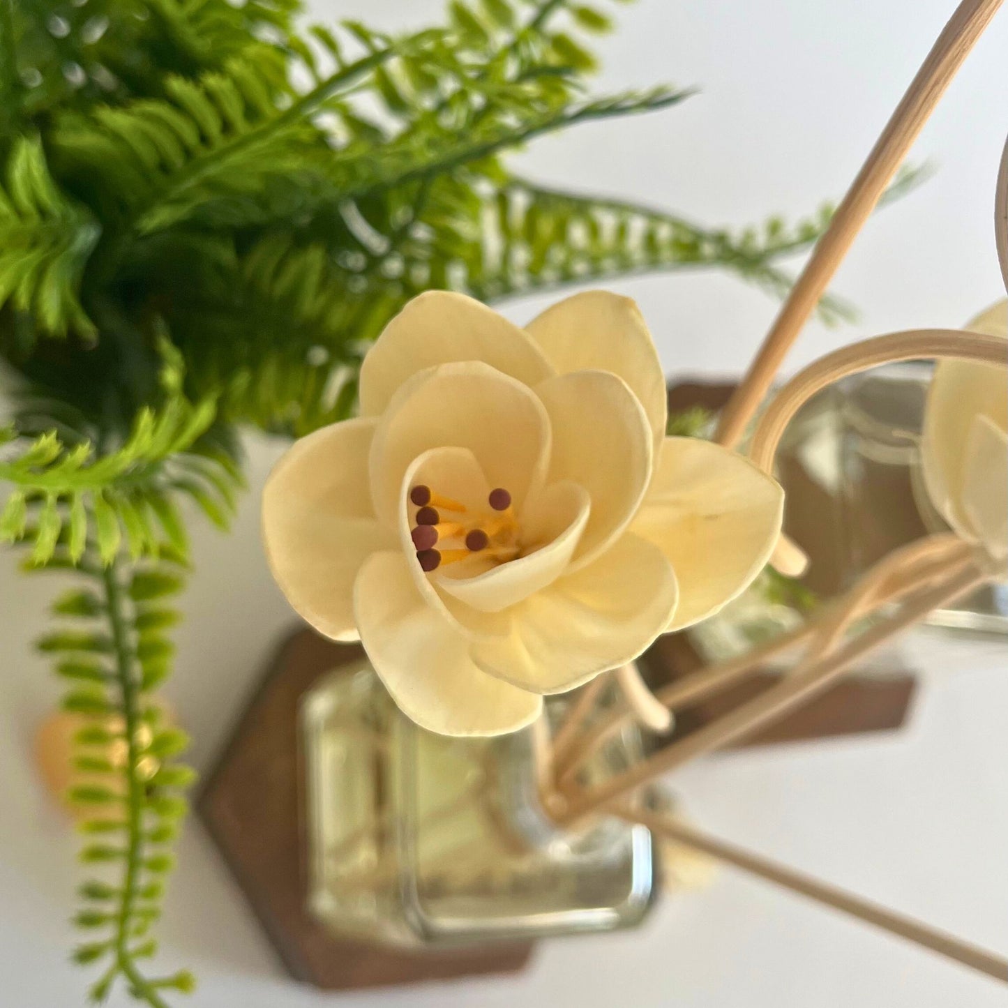 Evergreen Apple- Flower Reed Diffuser